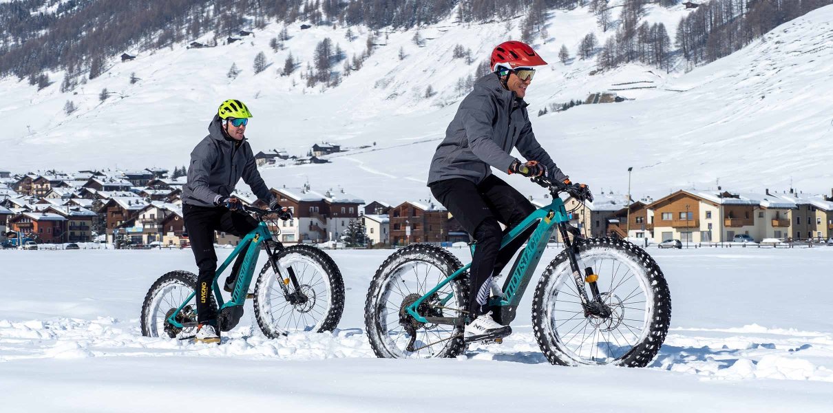 Fat Bike