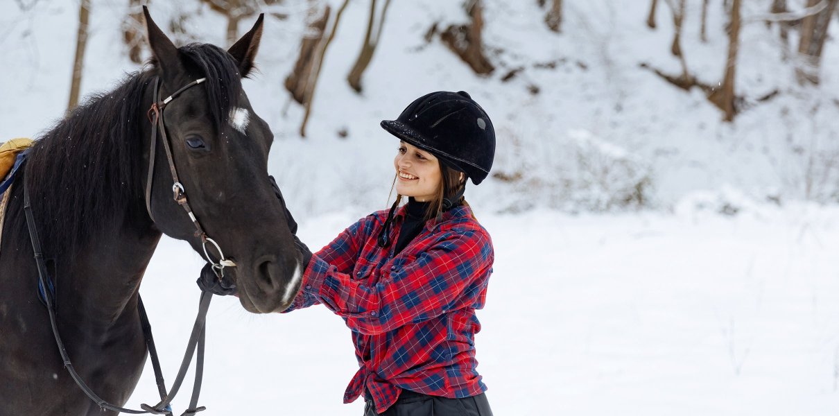 Reiten